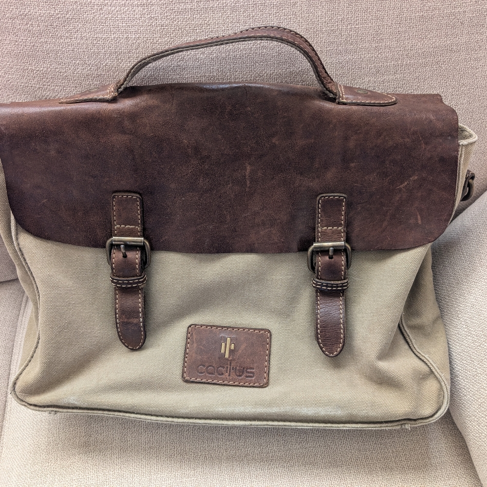 Cactus Leather and Canvas Satchel